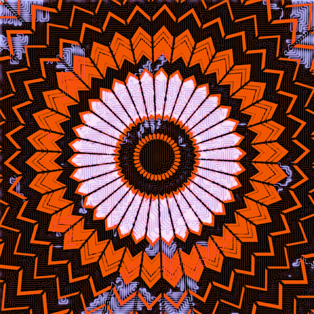 A black and white Op-Art pattern with radial kaleidoscope symmetry creating a swirling, hypnotic geometric vortex. — base photo: A sharp, high-resolution graphic study of alternating black and white curved lines organized in a di