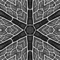 Seamless kaleidoscope wallpaper pattern — Geometry by wallpaper⁶