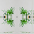 Seamless mirror wallpaper pattern — Origami by wallpaper⁶
