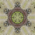 Seamless kaleidoscope wallpaper pattern — Biochemistry by wallpaper⁶