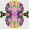 A mirrored cryptographic pattern featuring layers of coded text and symbols in a symmetrical, kaleidoscopic layout.