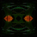 Portraits Mirror wallpaper pattern