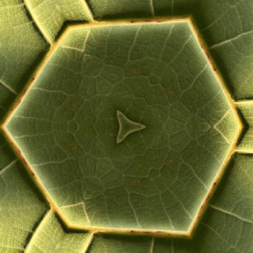 Chemistry Hexagon wallpaper pattern