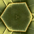 Chemistry Hexagon wallpaper pattern