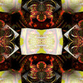 Seamless mirror wallpaper pattern — Origami by wallpaper⁶