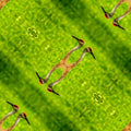 Seamless diamond wallpaper pattern — Origami by wallpaper⁶