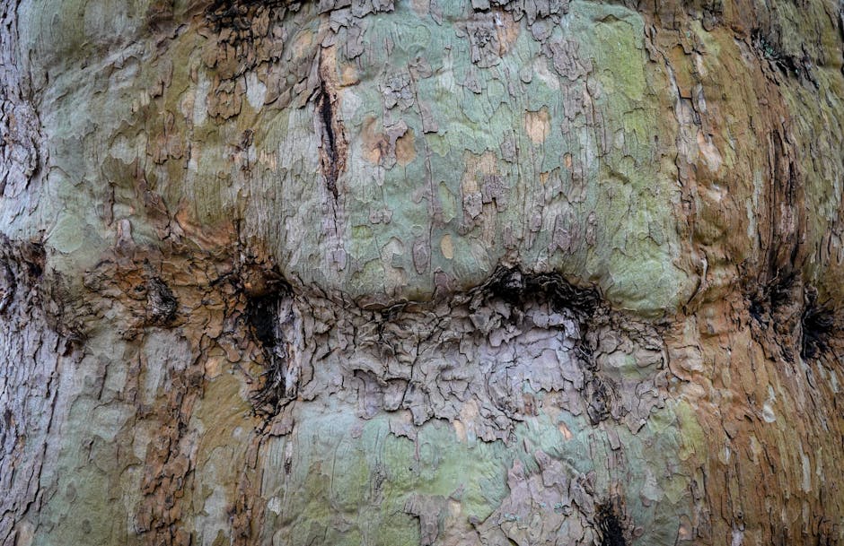 Portraits Hexagon wallpaper pattern — base photo: Detailed view of rugged and eroded tree bark, showcasing natural texture and earthy tones.