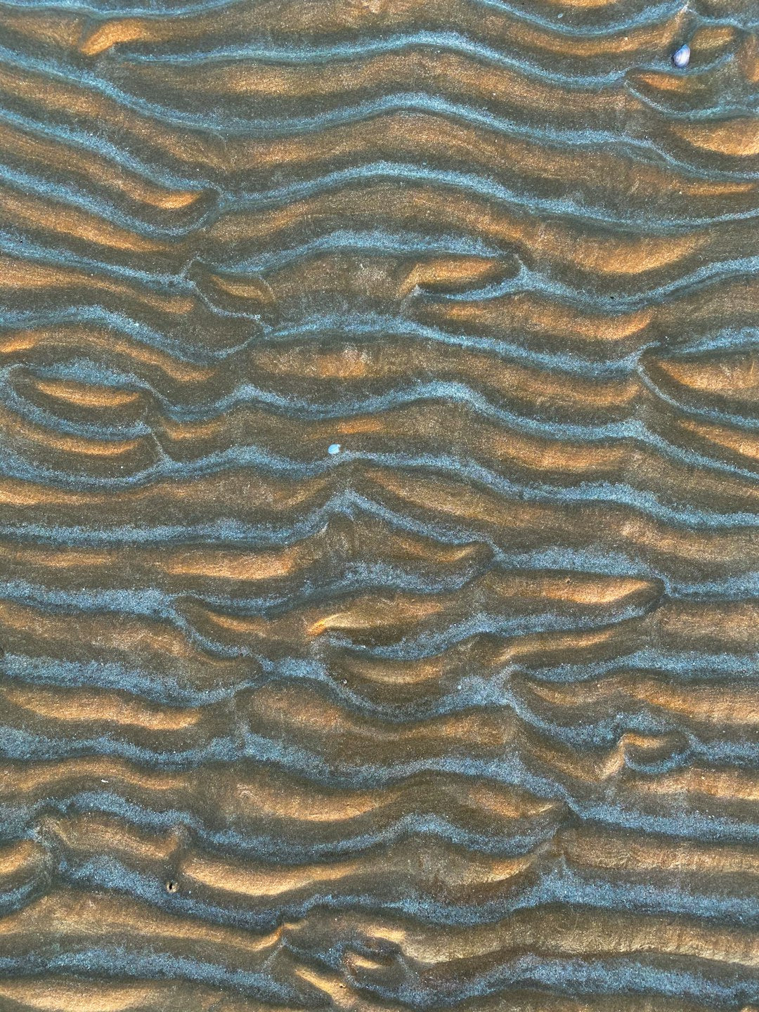 Seamless mirror wallpaper pattern — Biochemistry by wallpaper⁶ — base photo: Sand texture with shells