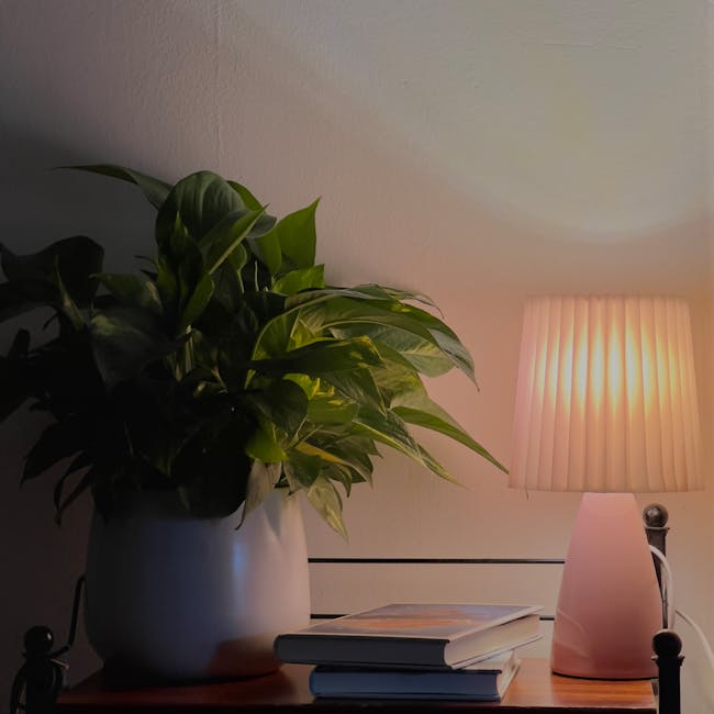 Seamless kaleidoscope wallpaper pattern — Stained Glass by wallpaper⁶ — base photo: Warm and cozy indoor scene with a glowing lamp beside a lush houseplant and books.