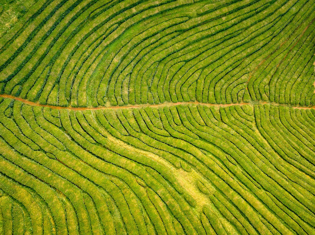 Emotions Diamond wallpaper pattern — base photo: aerial view of green open field