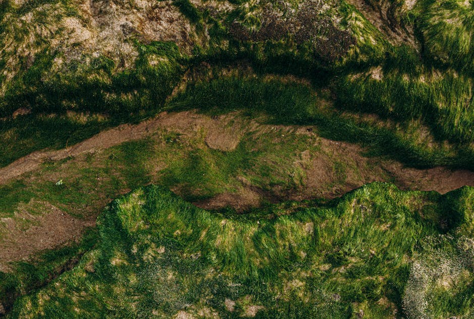 Seamless hex wallpaper pattern — Cartography by wallpaper⁶ — base photo: Detailed aerial view of lush, eroded terrain in Maceió, Brazil, showcasing vivid greens and natural 