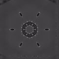Seamless kaleidoscope wallpaper pattern — Biochemistry by wallpaper⁶