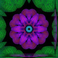 WALLPAPER⁶ — seamless kaleidoscope pattern from fractal geometry, Geometry