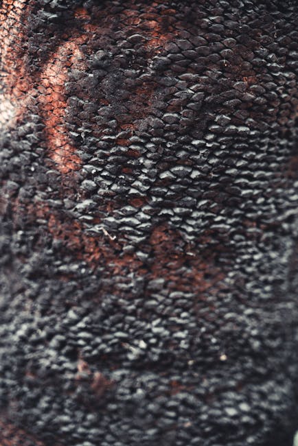 Chemistry Diamond wallpaper pattern — base photo: Detailed close-up of charred tree bark texture, showcasing the intricate patterns and colors.