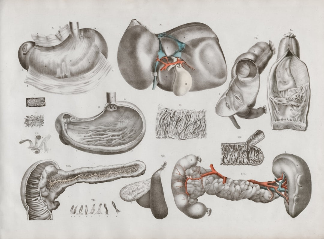 Seamless hex wallpaper pattern — Medicine by wallpaper⁶ — base photo: Title: Anatomie der Ernährungsorgane Creator: Date: 1832 Providing institution: Universitätsbiblioth