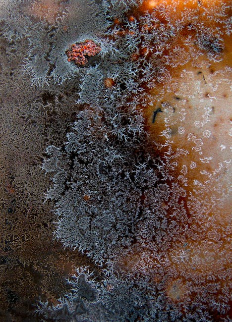 Chemistry Diamond wallpaper pattern — base photo: Detailed abstract close-up of intricate frosty pattern on a textured surface.