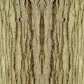 Cryptography Vertical Strip wallpaper pattern