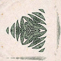 A pattern of elegant fern fronds in a hex arrangement, showcasing natural green hues and intricate botanical details, suitable for stylish home decor.