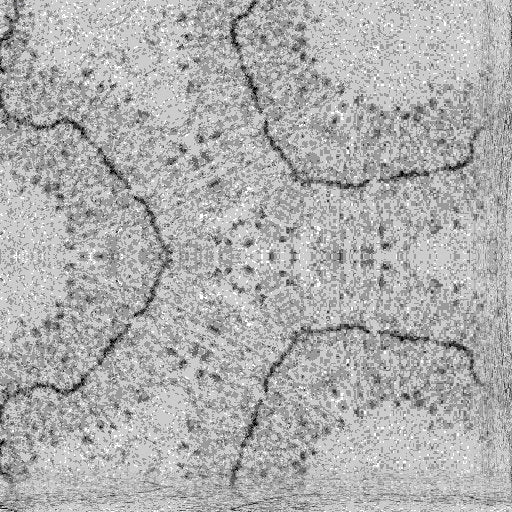 Seamless hex wallpaper pattern — Biochemistry by wallpaper⁶