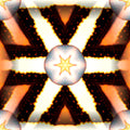 Kaleidoscopic pattern featuring vibrant sunset colors, originating from a reflection in a glass sphere, arranged in repeating symmetrical segments.