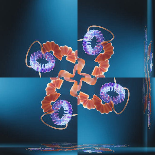 An intricate pattern of glowing molecular bonds arranged in a four-fold Rotation symmetry on a dark background.