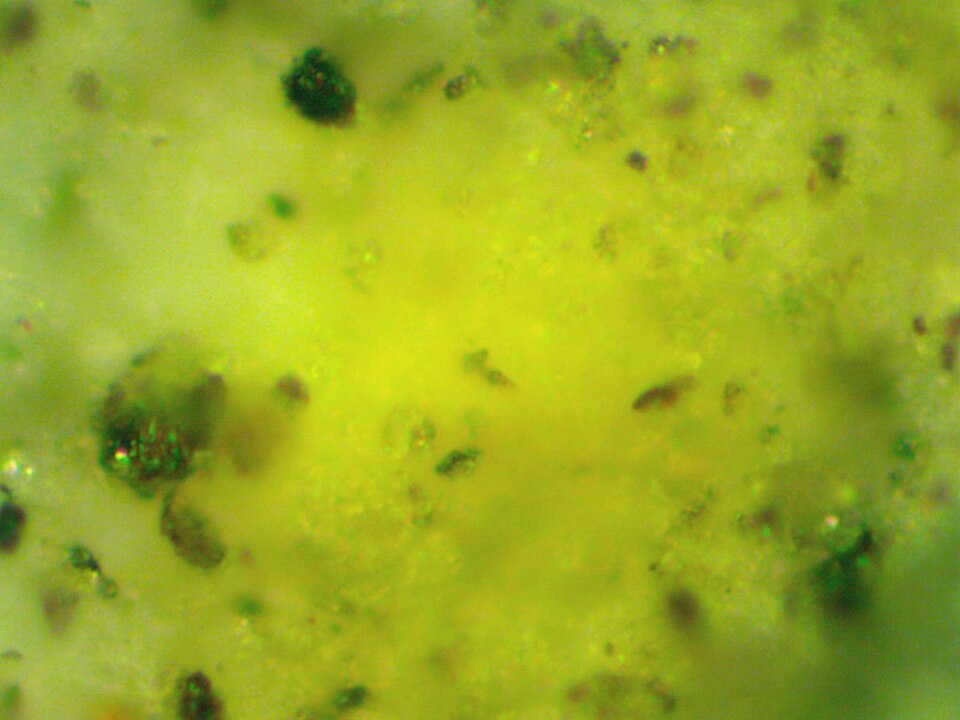 Molecular Physics Hexagon wallpaper pattern — base photo: File:The pores in the zeolite tuff.jpg