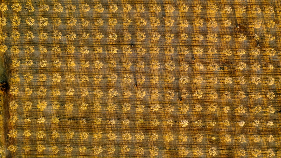 Seamless kaleidoscope wallpaper pattern — Geometry by wallpaper⁶ — base photo: Farm workers art