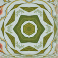 Botanics Kaleidoscope wallpaper pattern