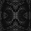 Portraits Mirror wallpaper pattern