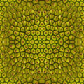 Origami tessellation pattern with mirror symmetry, inspired by the texture of a green jackfruit, in vibrant green and gold tones.