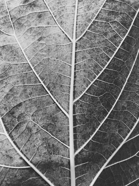 Data Vertical Strip wallpaper pattern — base photo: Detailed close-up of a leaf's intricate vein pattern in black and white.