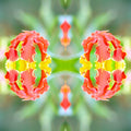 Botanics Mirror wallpaper pattern