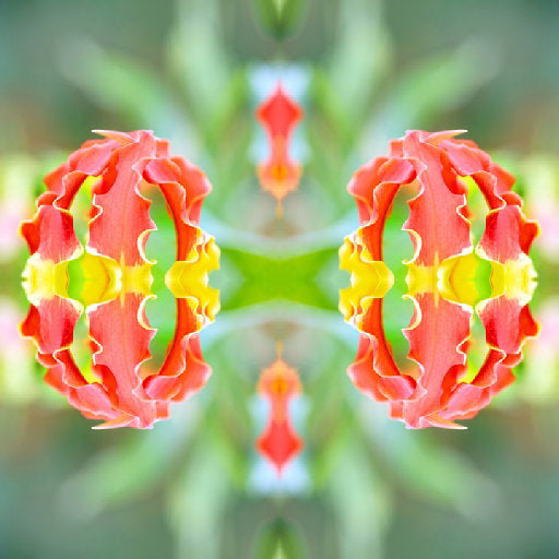 Botanics Mirror wallpaper pattern