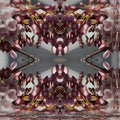 Portraits Mirror wallpaper pattern