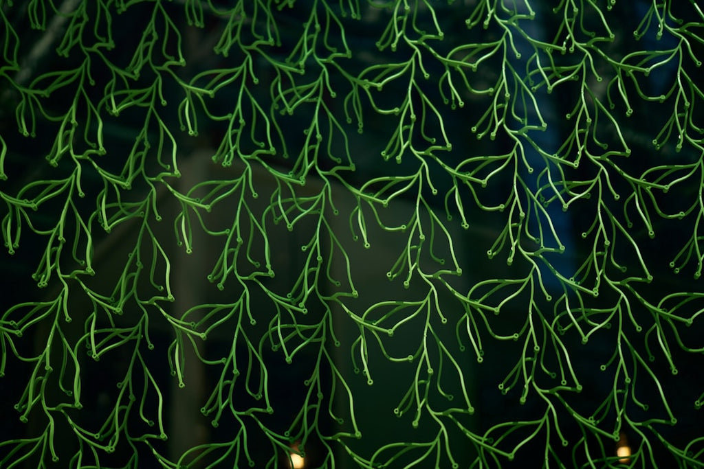Botanics Kaleidoscope wallpaper pattern — base photo: A close up of a tree with green leaves