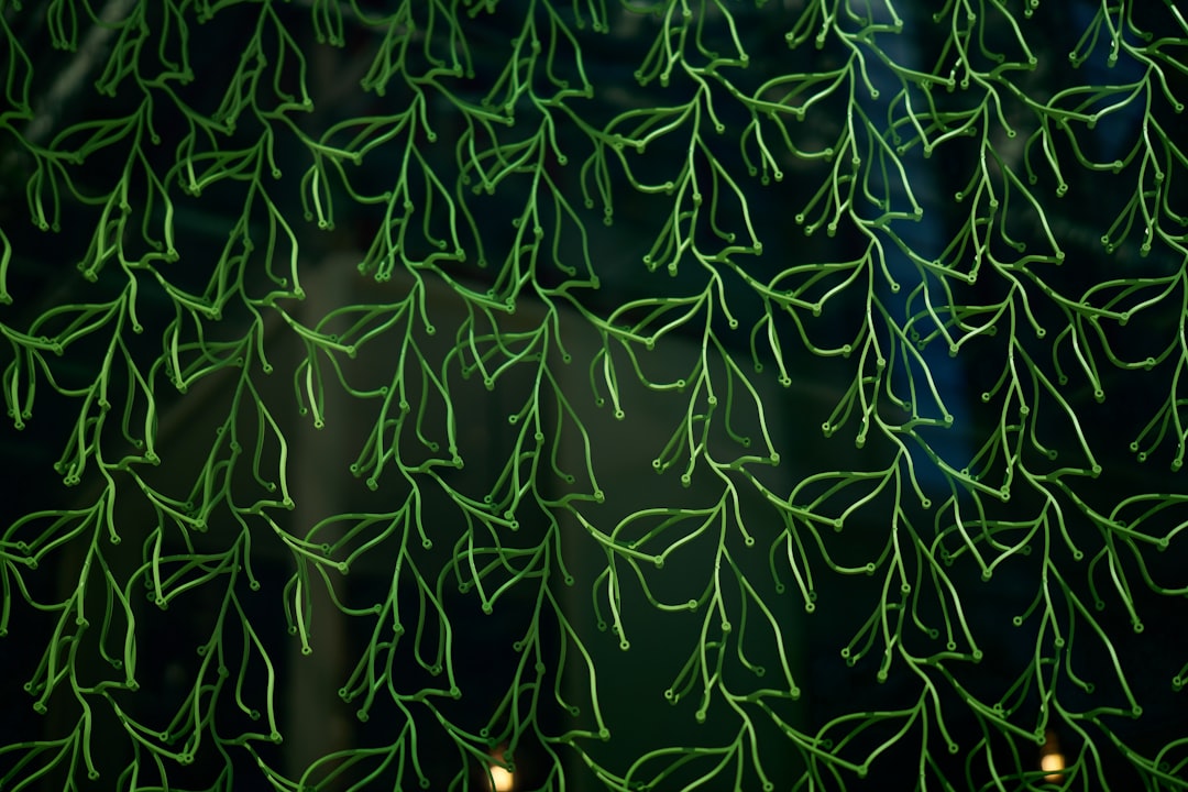 Botanics Kaleidoscope wallpaper pattern — base photo: A close up of a tree with green leaves
