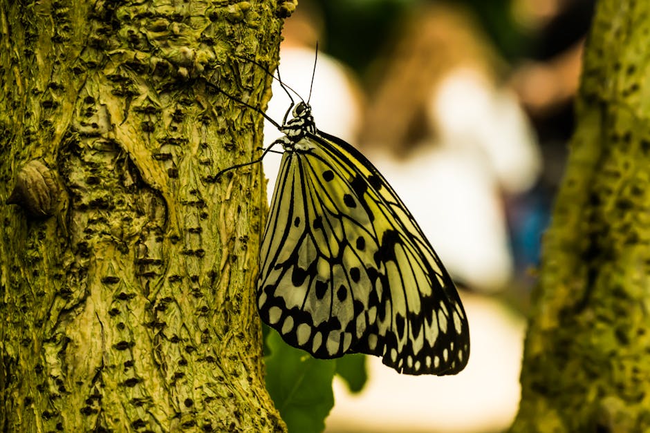 Entomology Diamond wallpaper pattern — base photo: Stunning close-up of a paper kite butterfly resting on a textured tree trunk.