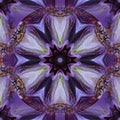 Seamless kaleidoscope wallpaper pattern — Medicine by wallpaper⁶