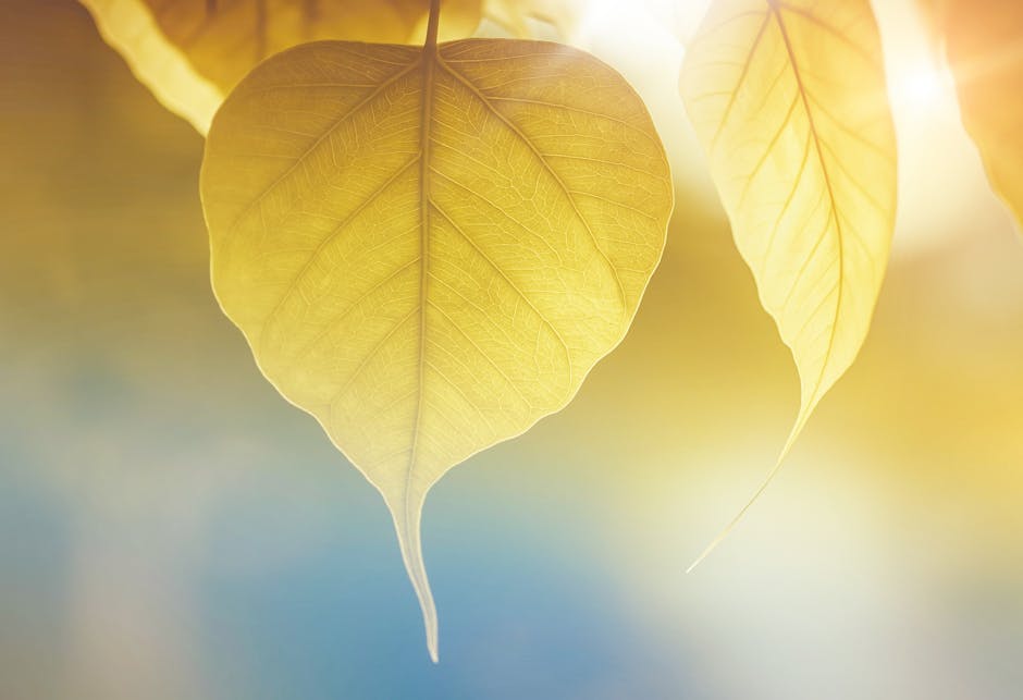 Seamless kaleidoscope wallpaper pattern — Calligraphy by wallpaper⁶ — base photo: Close-up of golden leaves with sunlight, capturing autumn's essence.