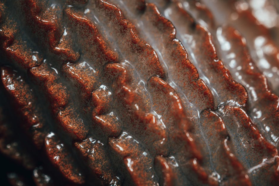 Physics Kaleidoscope wallpaper pattern — base photo: Detailed macro close-up of a snail's shell, showcasing intricate textures and patterns.