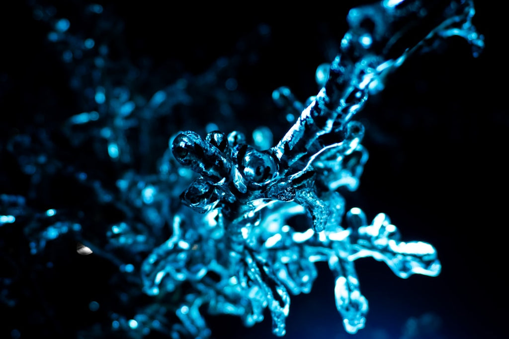 Molecular Physics Mirror wallpaper pattern — base photo: Twigs encased in ice