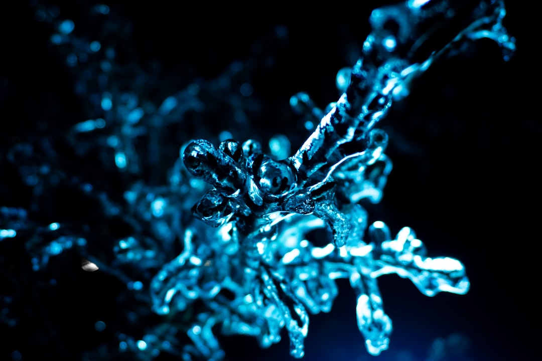 Molecular Physics Mirror wallpaper pattern — base photo: Twigs encased in ice