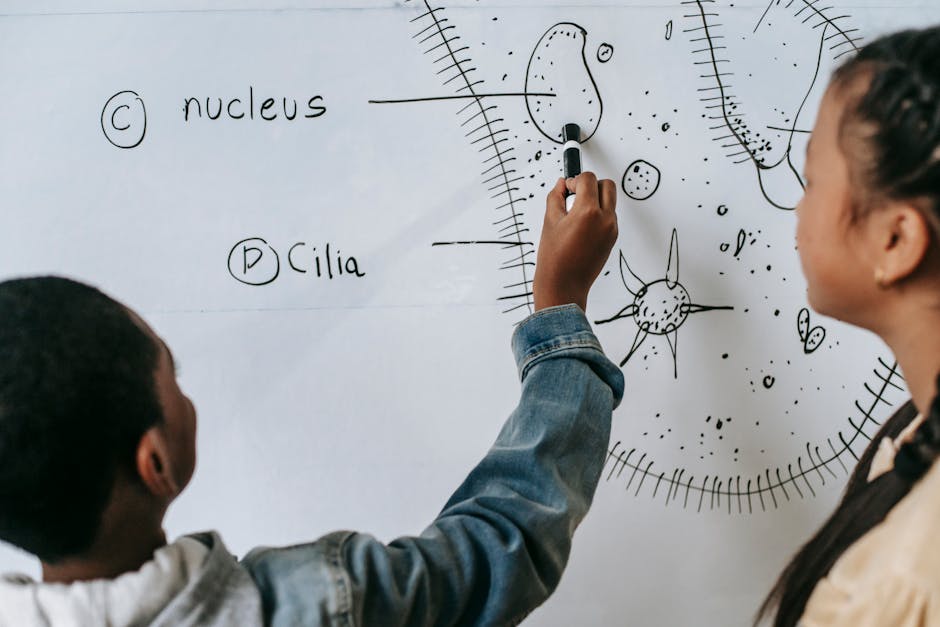 Seamless hex wallpaper pattern — Medicine by wallpaper⁶ — base photo: Back view of anonymous multiracial classmates describing primitive organism on whiteboard in classro