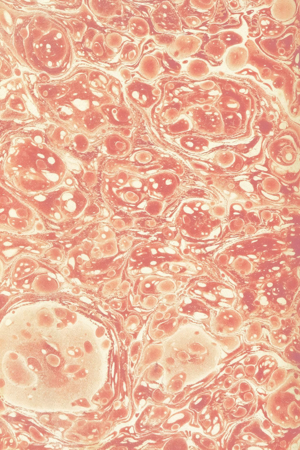 Seamless mirror wallpaper pattern — Origami by wallpaper⁶ — base photo: Title: decoration from "[The History of America.]". Creator: Date: 1808 Providing institution: The B