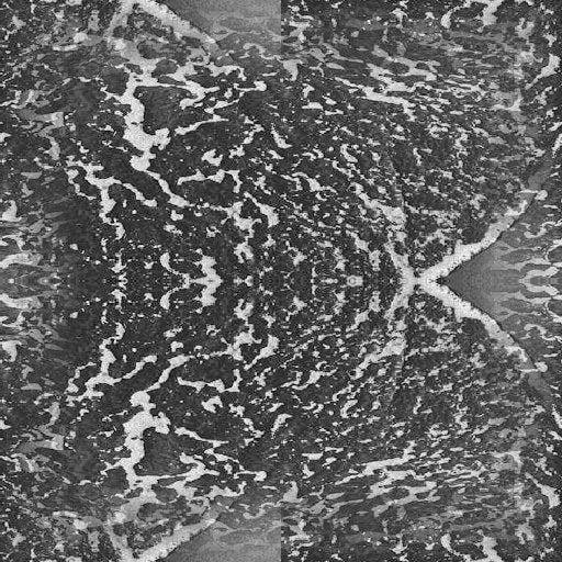 Oceanography Horizontal Strip wallpaper pattern