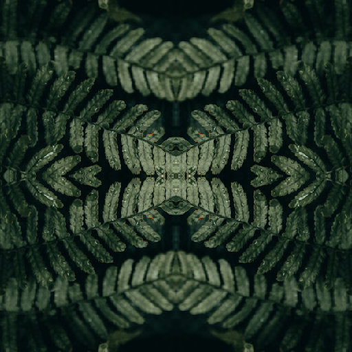Botanics Mirror wallpaper pattern