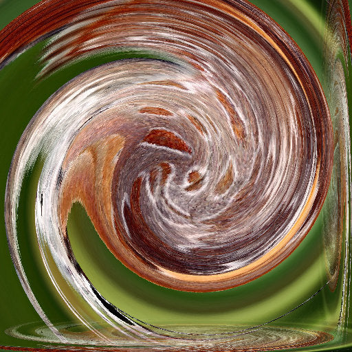 Entomology Pinwheel wallpaper pattern