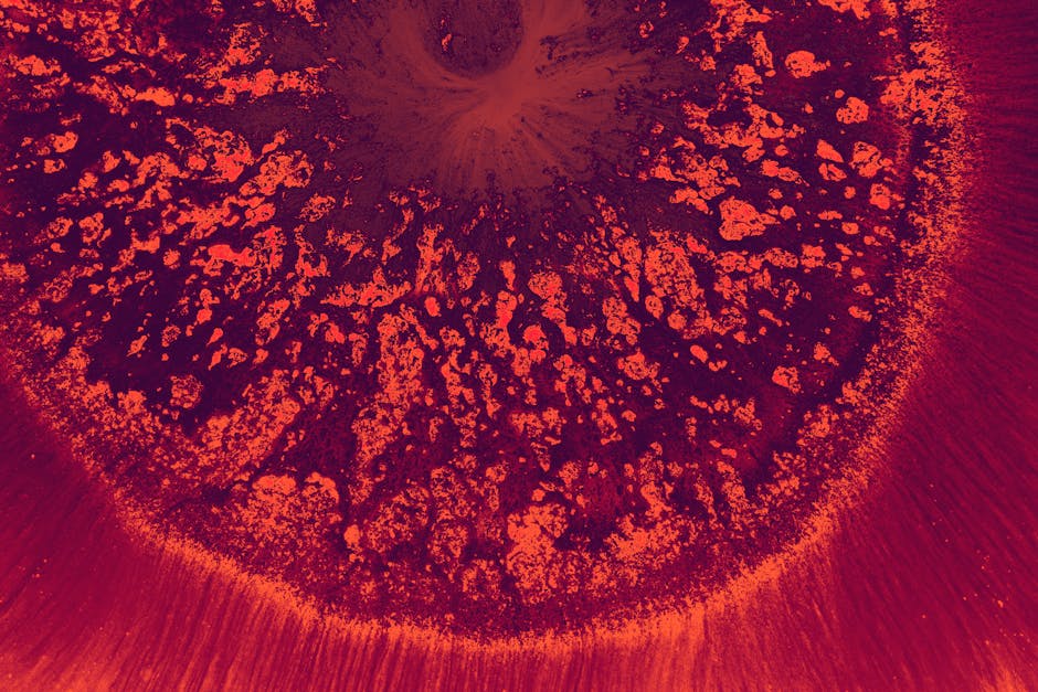 Seamless kaleidoscope wallpaper pattern — Astronomy by wallpaper⁶ — base photo: A vibrant and detailed abstract close-up of a red circular pattern with unique textures.