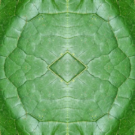 A symmetrical Mirror pattern of green plant leaves and cellular textures forming a complex botanical tapestry.