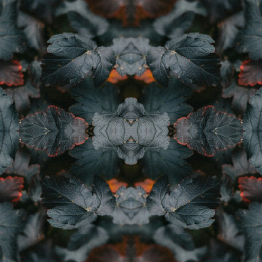 Botanics Mirror wallpaper pattern